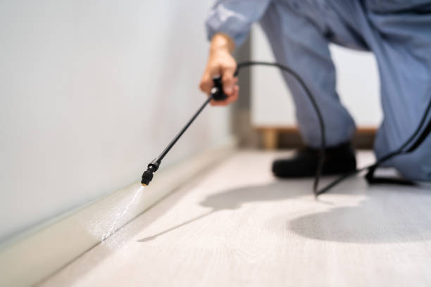 Licensed Pest Control service in Chatmoss, VA - Show Me Pest Control